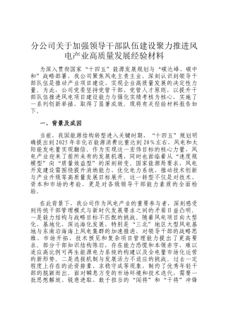 分公司关于加强领导干部队伍建设聚力推进风电产业高质量发展经验材料