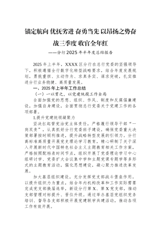 分行2025年半年度总结报告