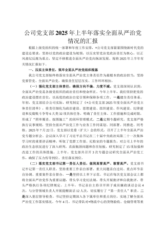 公司党支部2025年上半年落实全面从严治党情况的汇报