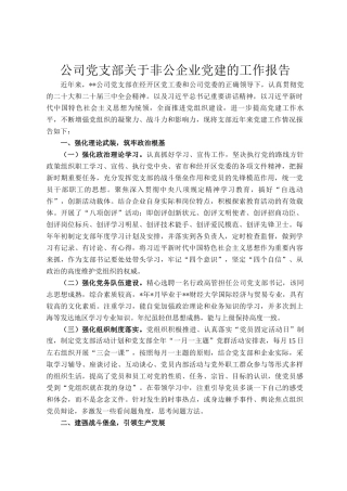 公司党支部关于非公企业党建的工作报告
