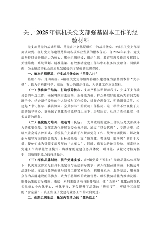 关于2025年镇机关党支部强基固本工作的经验材料