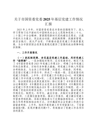 关于市国资委党委2025年基层党建工作情况汇报