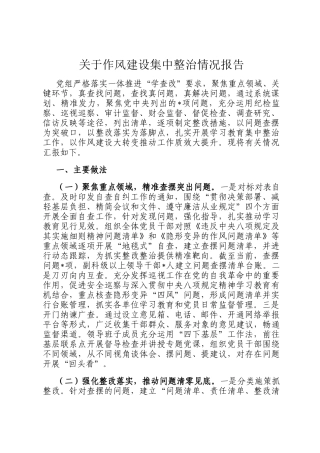 关于作风建设集中整治情况报告