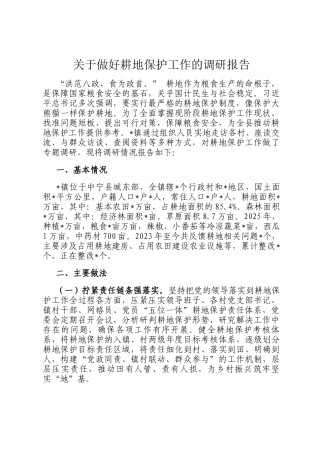 关于做好耕地保护工作的调研报告
