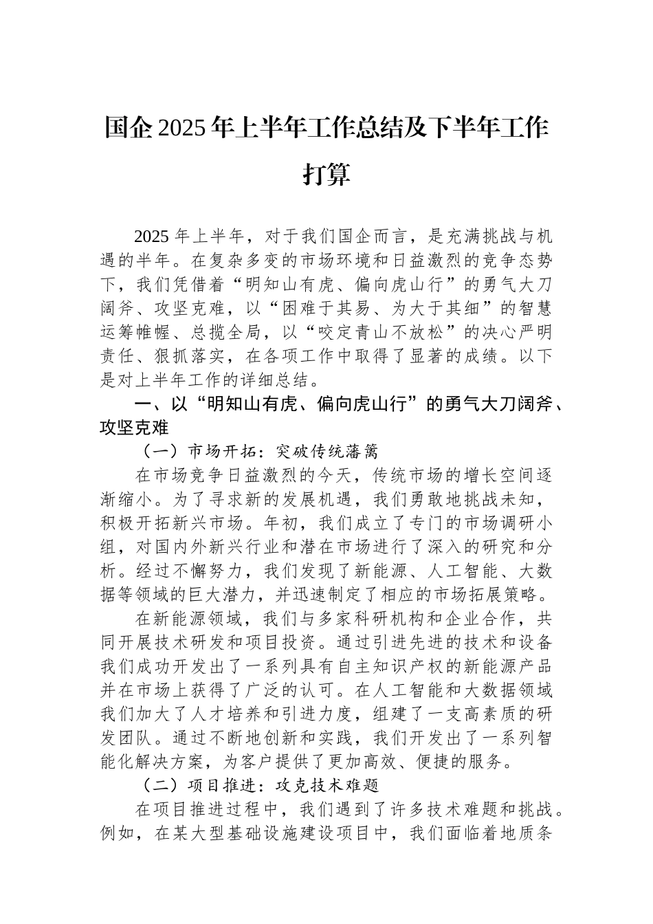 国企2025年上半年工作总结及下半年工作打算_第1页