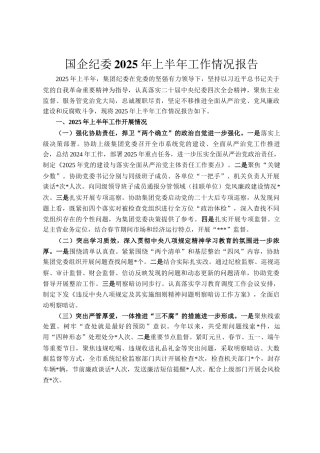 国企纪委2025年上半年工作情况报告