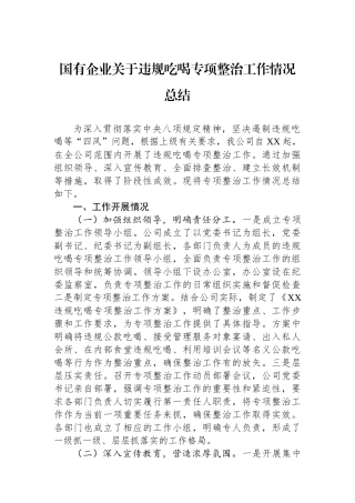 国有企业关于违规吃喝专项整治工作情况总结