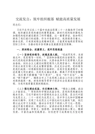 交流发言：筑牢组织根基 赋能高质量发展