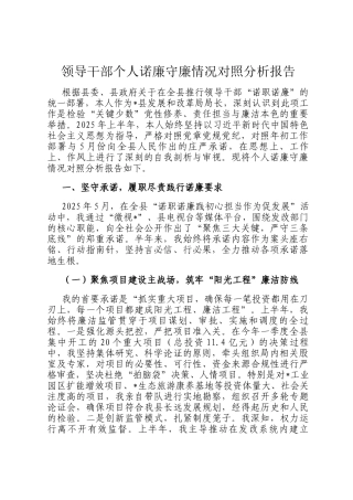 领导干部个人诺廉守廉情况对照分析报告