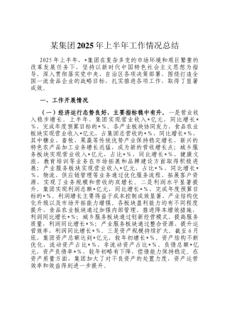 某集团2025年上半年工作情况总结
