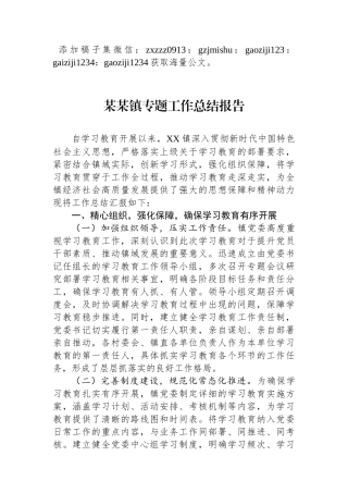 某某镇专题工作总结报告