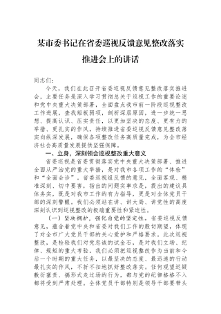 某市委书记在省委巡视反馈意见整改落实推进会上的讲话