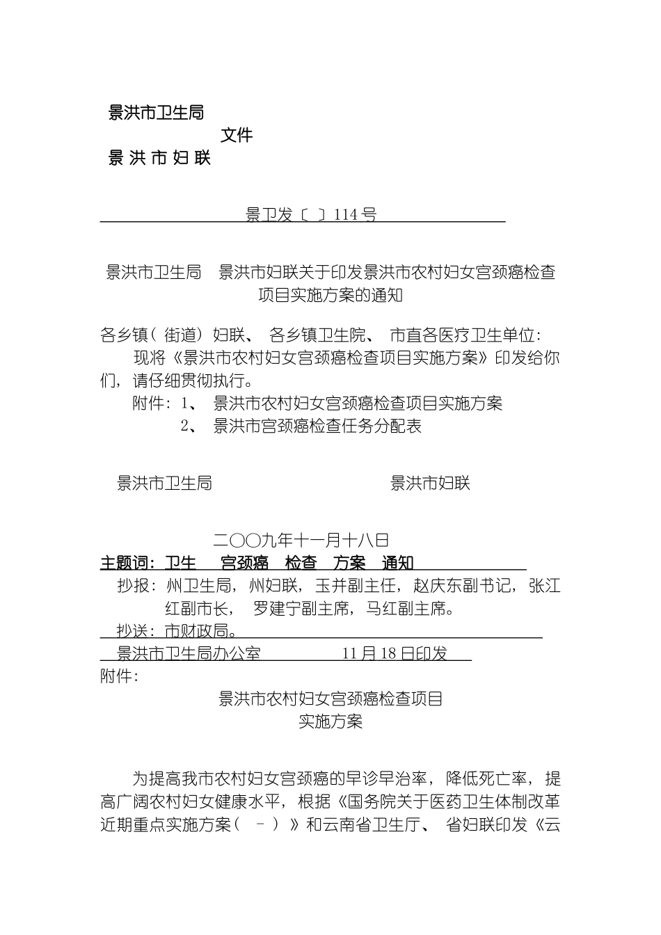 景洪市农村妇女宫颈癌检查项目实施方案模板_第2页