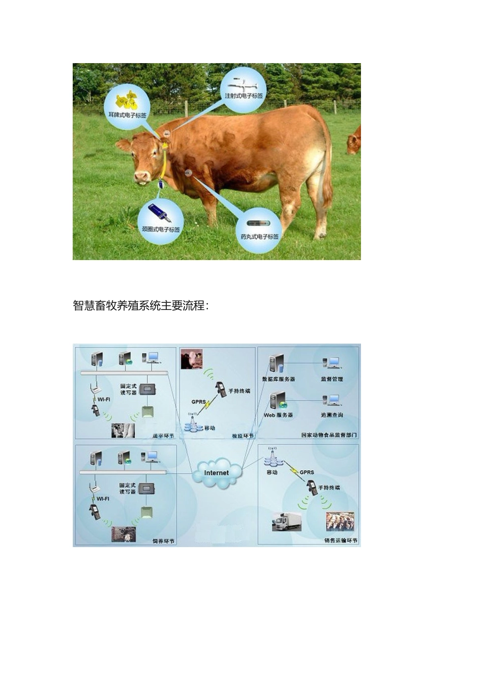 智慧农业：智慧畜牧养殖系统解决方案_第3页