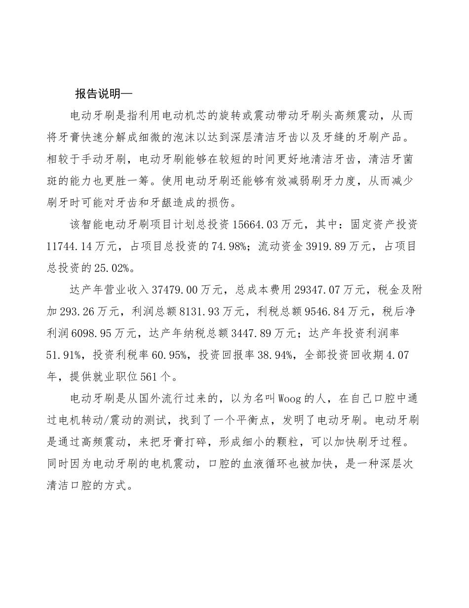 智能电动牙刷项目策划方案_第2页