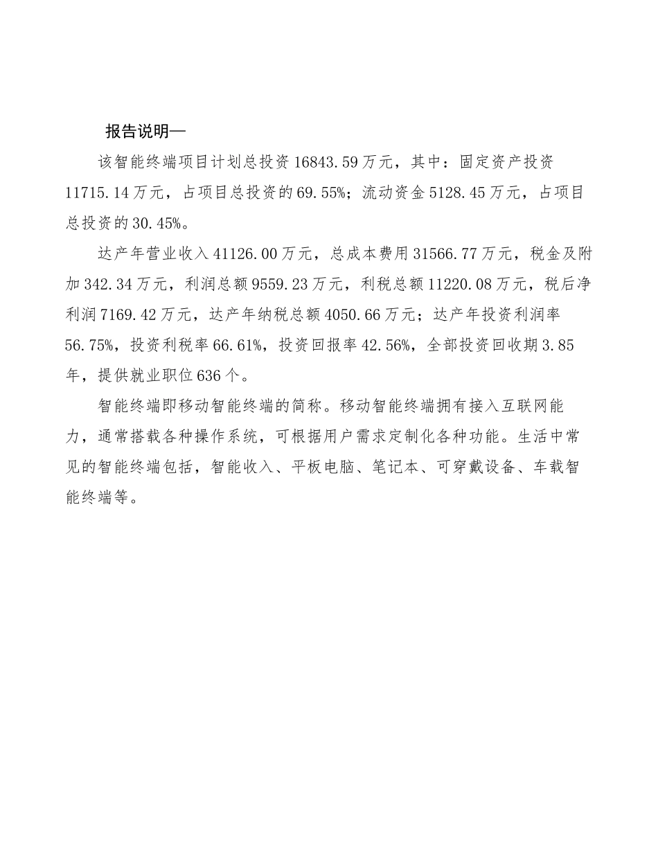 智能终端项目合作方案_第2页