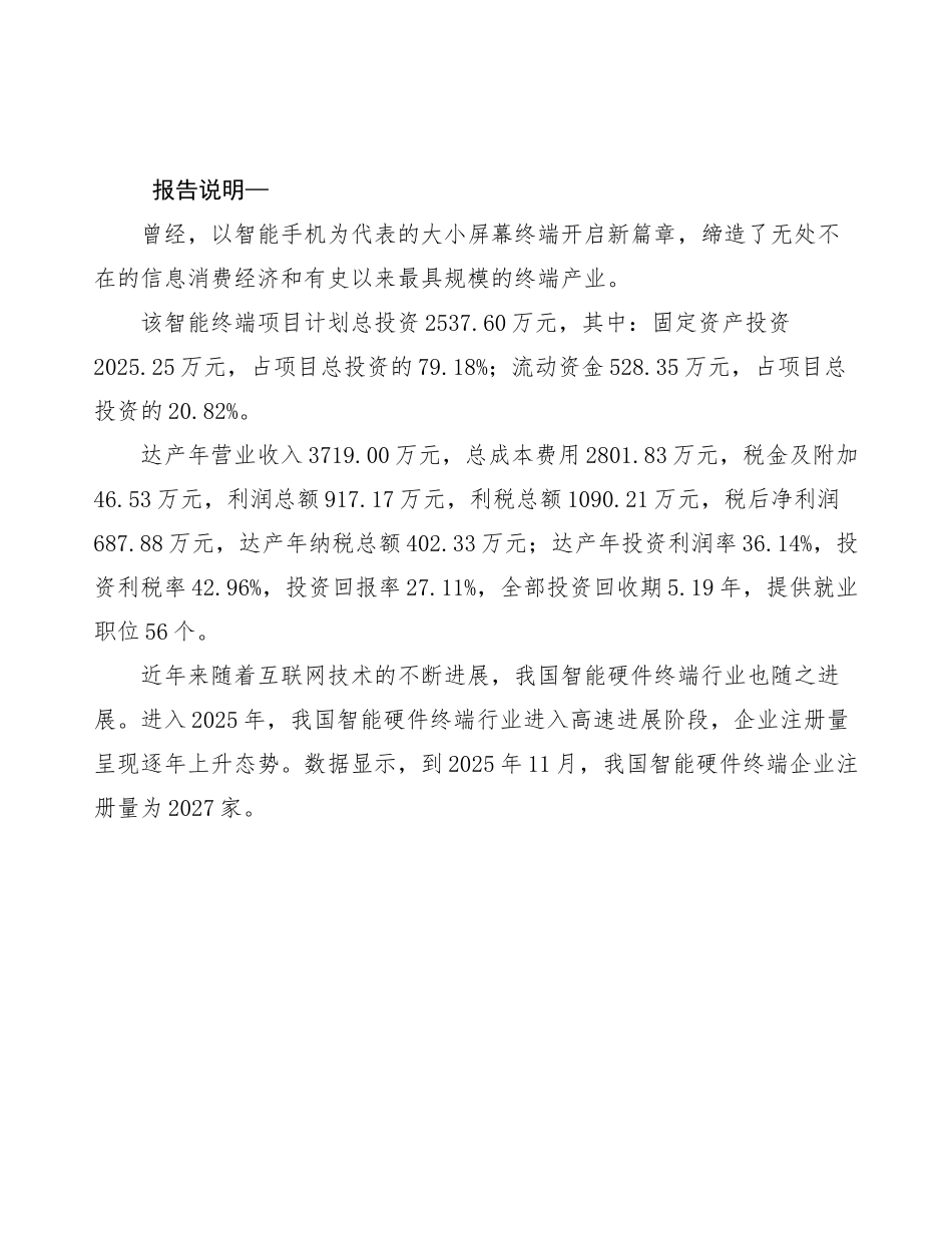 智能终端生产制造项目规划策划方案_第2页