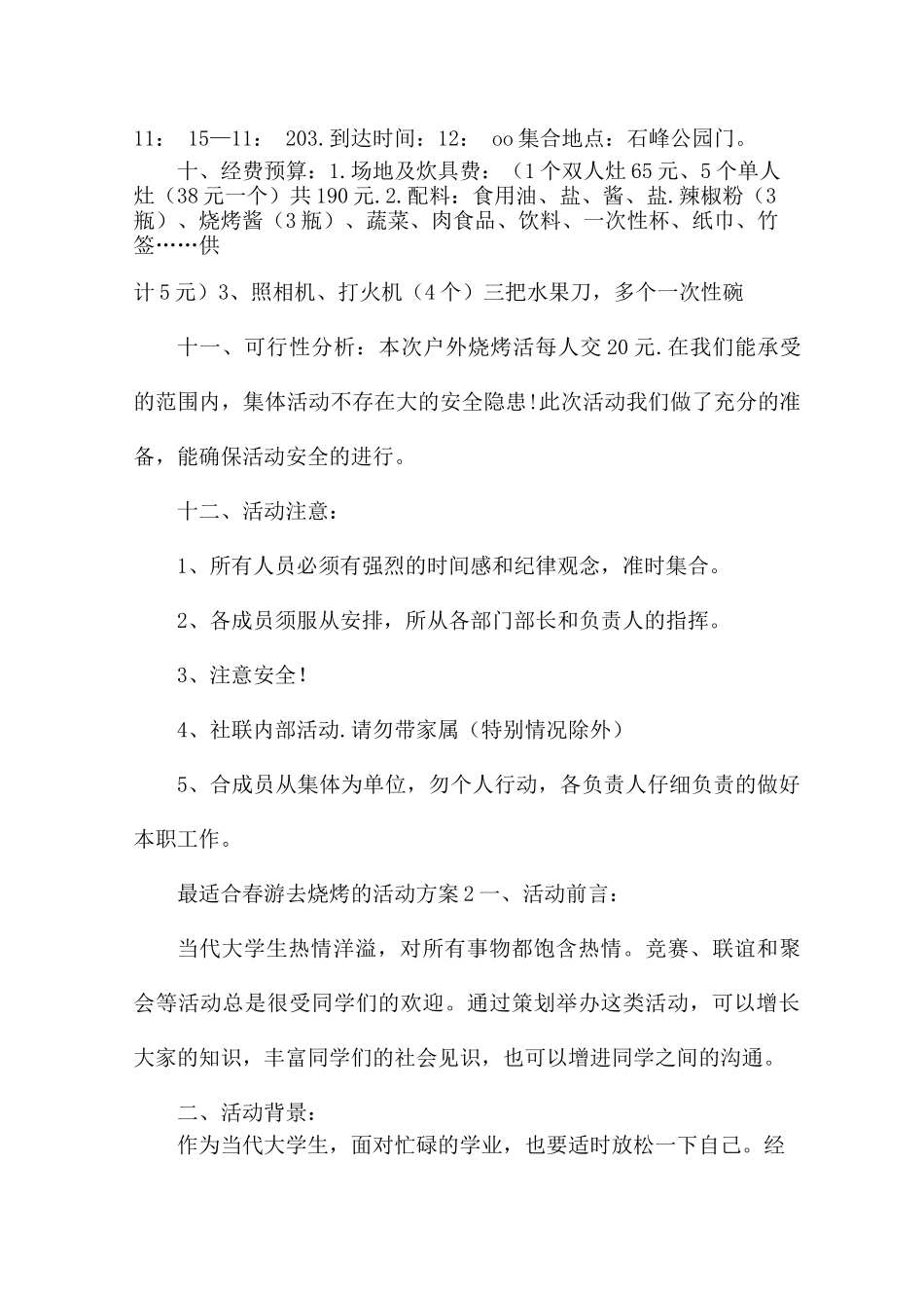 最适合春游去烧烤的活动方案5篇_第3页