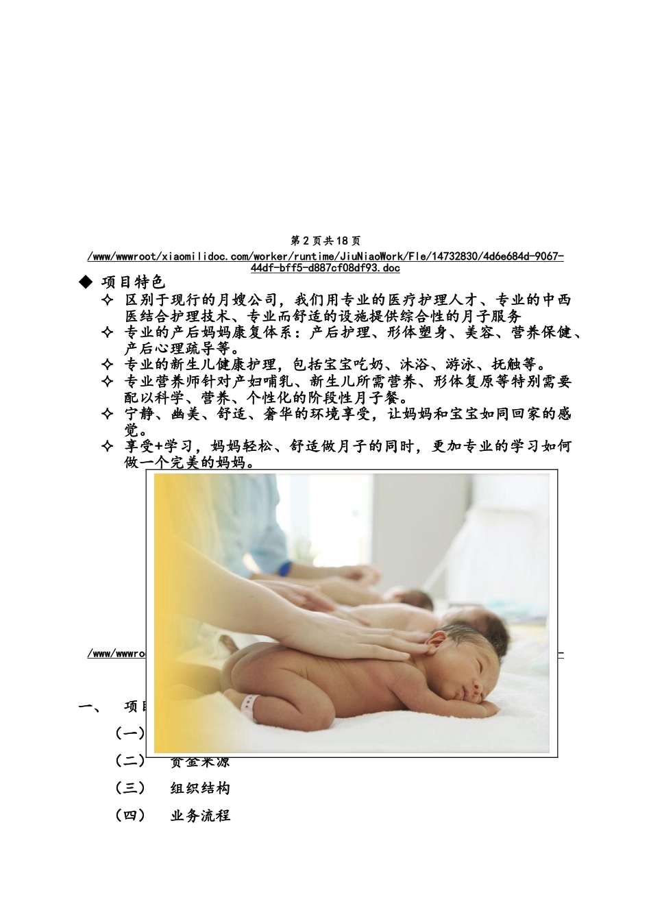 月子会所可行性报告_第2页