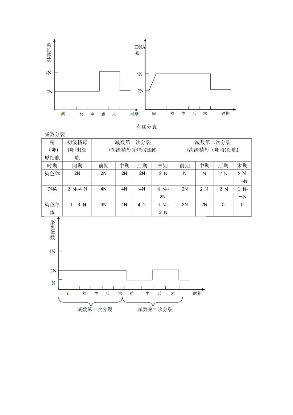 有丝分裂和减数分裂比较_第3页