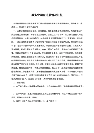 服务业调查进展情况汇报