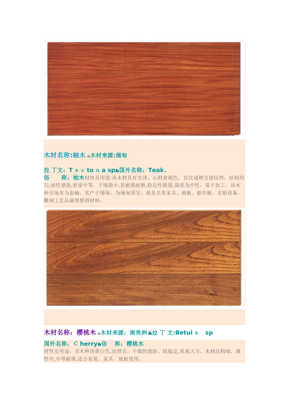 木材材质辨认1_第2页