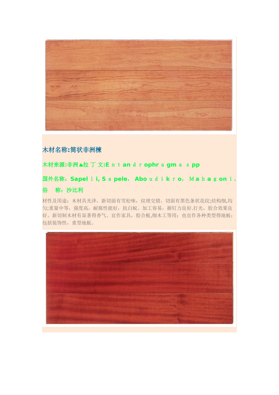 木材材质辨认1_第3页