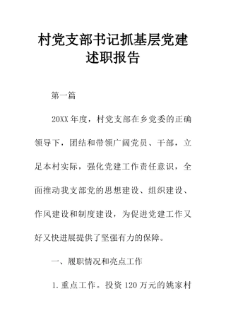 村党支部书记抓基层党建述职报告