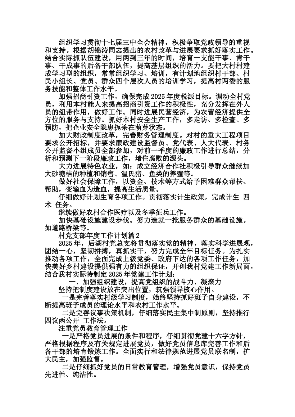 村党支部年度工作计划_第2页