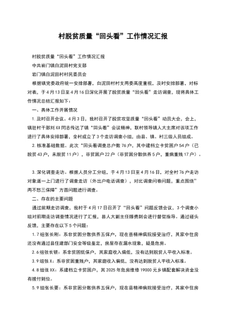 村脱贫质量“回头看”工作情况汇报