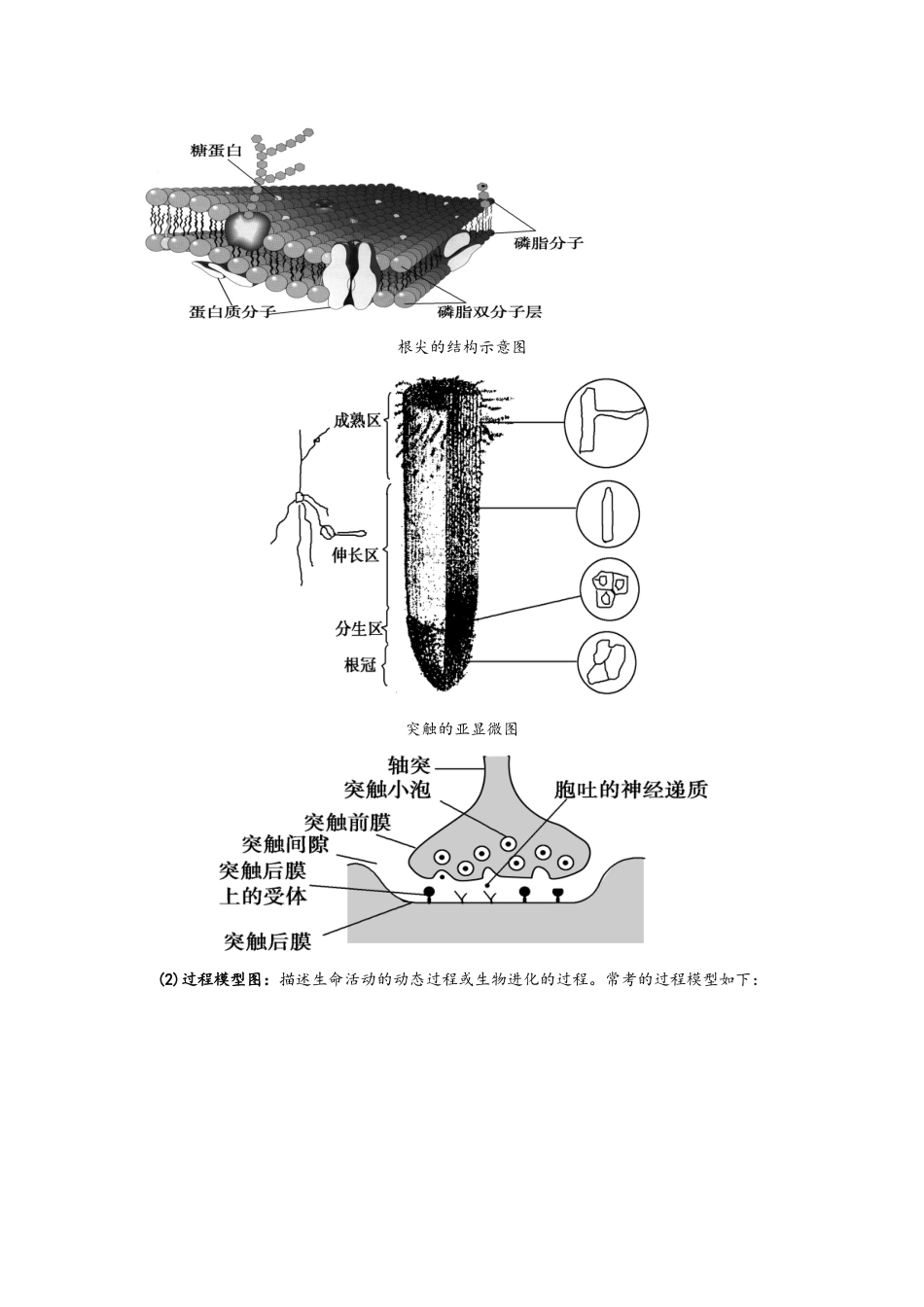 构建模型的种类_第2页