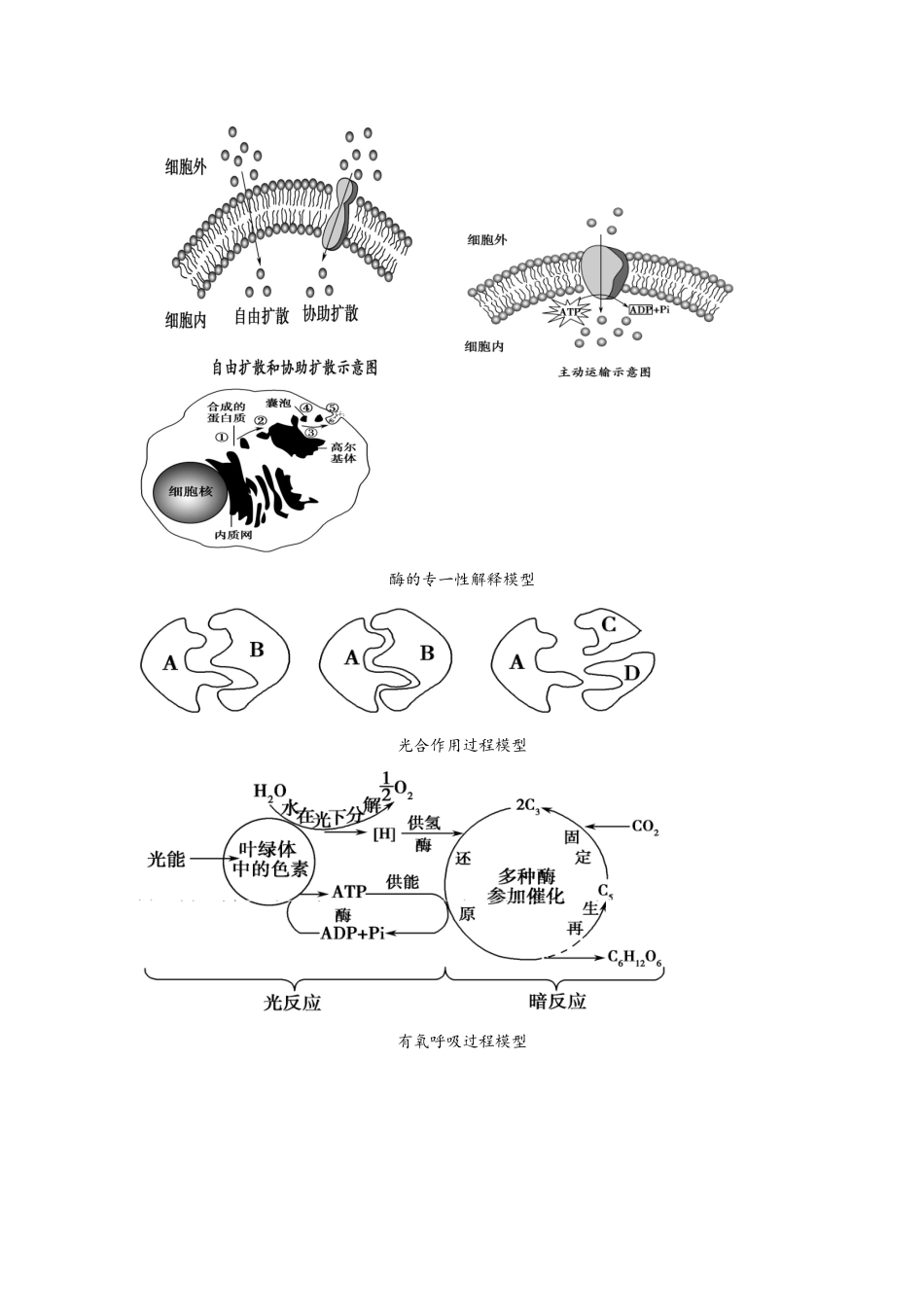 构建模型的种类_第3页