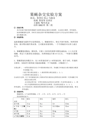 果蝇杂交实验设计方案