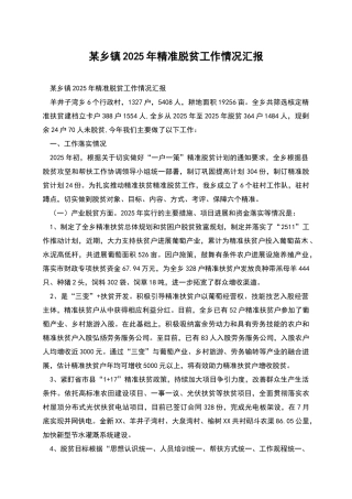 某乡镇2025年精准脱贫工作情况汇报