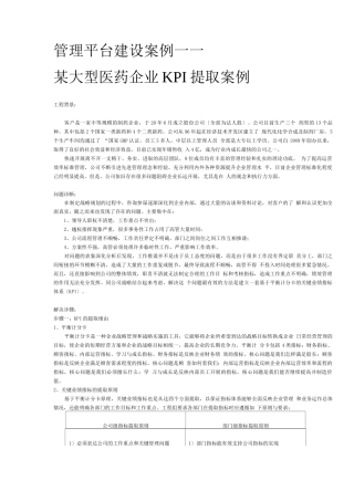 某大型医药企业KPI提取案例实录-8页