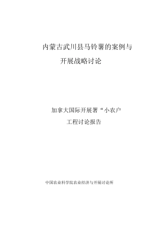 某市马铃薯的案例与发展战略研究