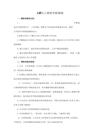 某有限公司员工绩效考核细则