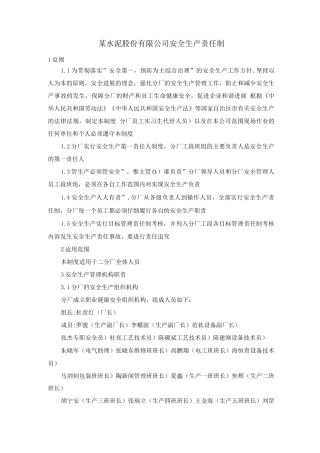 某水泥股份有限公司安全生产责任制
