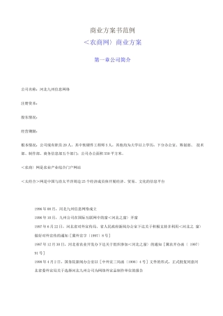 某著名咨询公司-河北九州-商业计划书