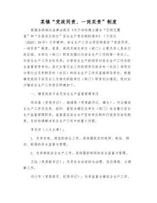 某镇“党政同责、一岗双责”制度
