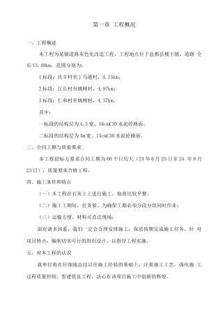 某镇道路灰色化改造工程施工组织设计方案