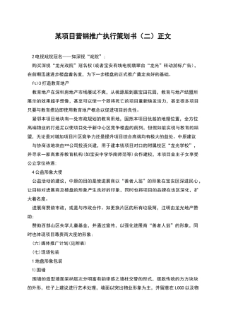 某项目营销推广执行策划书正文