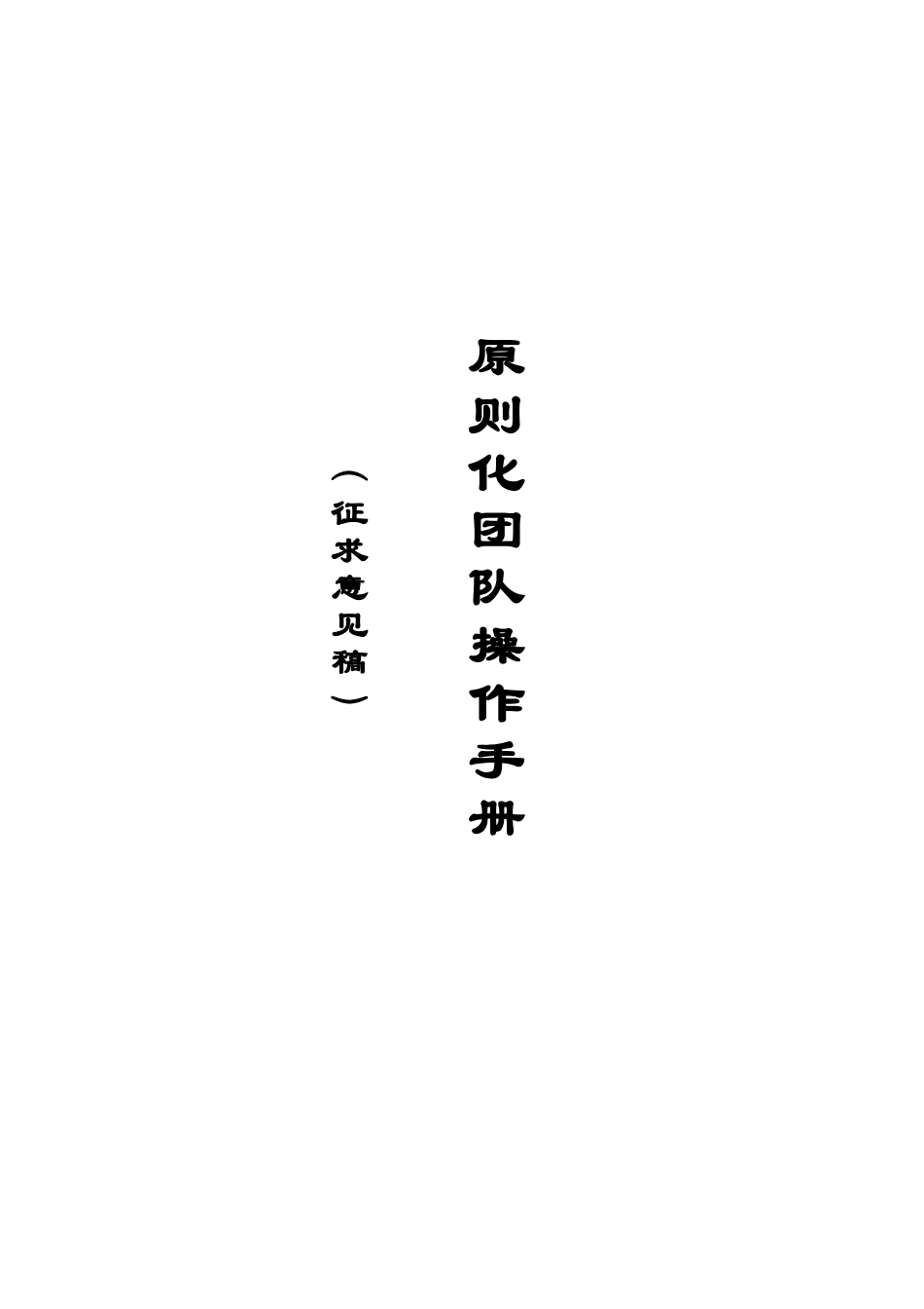 标准化团队操作手册_第1页