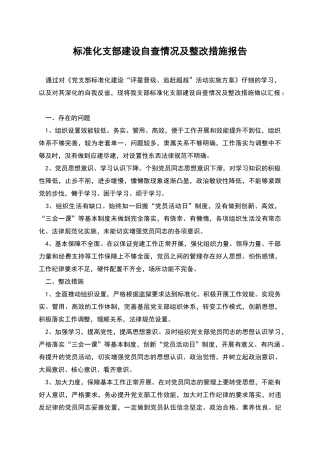 标准化支部建设自查情况及整改措施报告