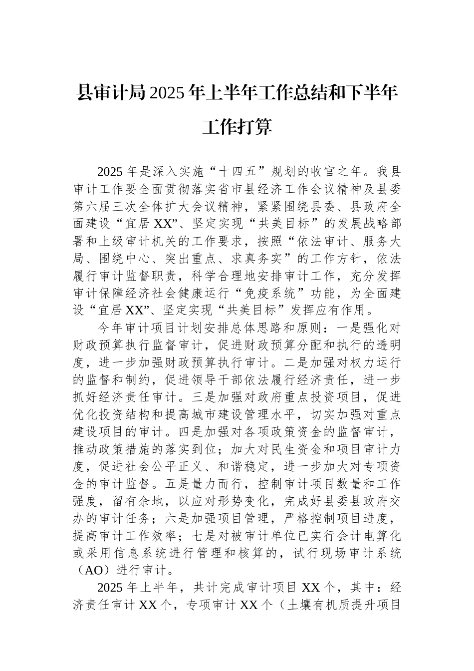 县审计局2025年上半年工作总结和下半年工作打算_第1页