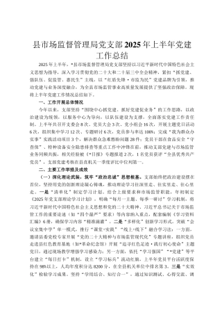 县市场监督管理局党支部2025年上半年党建工作总结