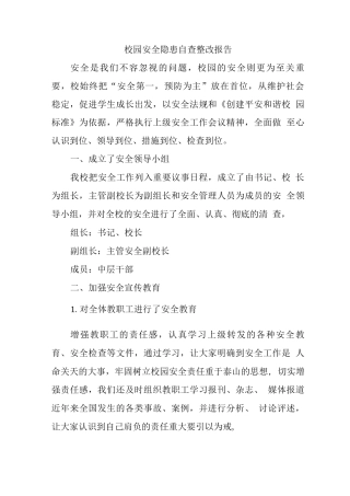 校园安全隐患自查整改报告