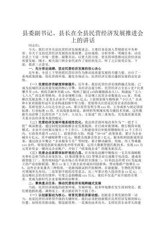 县委副书记、县长在全县民营经济发展推进会上的讲话