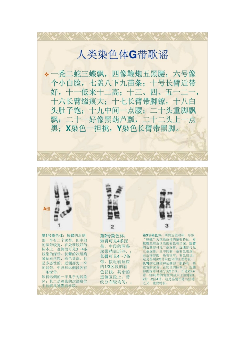 核型分析 口诀_第2页