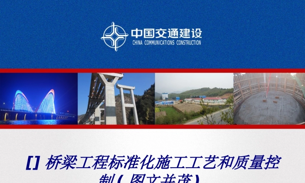 桥梁工程标准化施工工艺和质量控制-专题培训课件